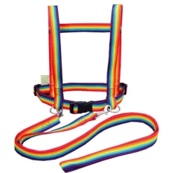 Helga Kreft Paard Speellijn Regenboog 2 Helga Kreft Paard Speellijn Regenboog -Buiten Speelgoed Winkel helga kreft paard speellijn regenboog a318694 2