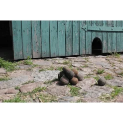 Helga Kreft Paardenuitwerpselen Speelset -Buiten Speelgoed Winkel helga kreft paardenuitwerpselen speelset a292625 3