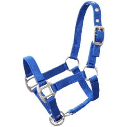 Helga Kreft Tuinpaardenset Tamme, Blauw -Buiten Speelgoed Winkel helga kreft tuinpaardenset tamme blauw a325389 4