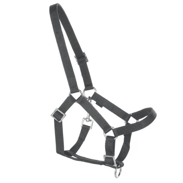 Helga Kreft Tuinpaardenset Tamme, zwart Helga Kreft Tuinpaardenset Tamme, Zwart -Buiten Speelgoed Winkel helga kreft tuinpaardenset tamme zwart a366700 3