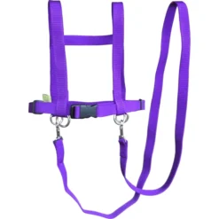 Helga Kreft Zügelmatz Paardenspeellijn, Paars